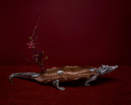 Teak wood Crocodile Sculpture with Silver
