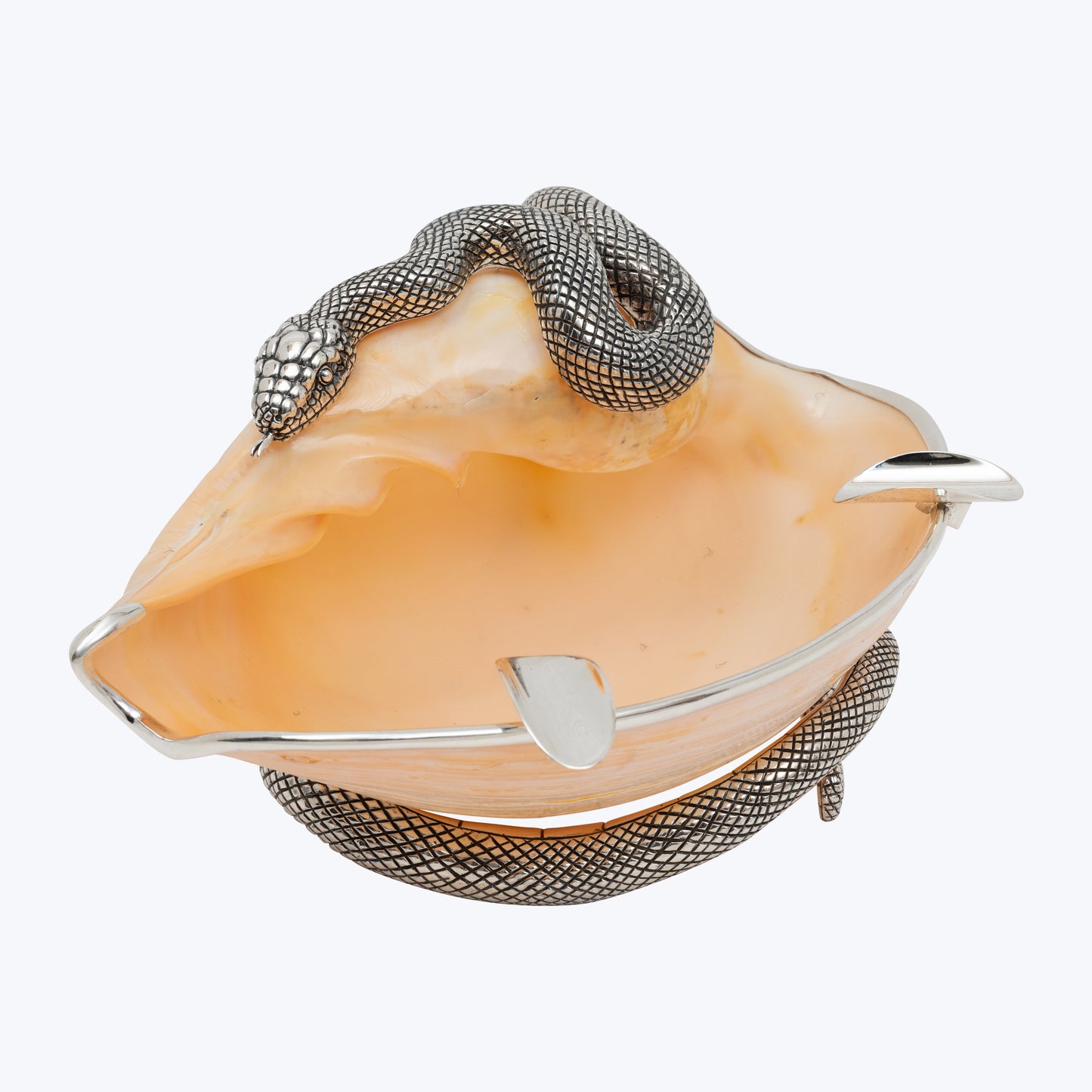 Hissing and Swirling Silver Snake Conch Shell Ashtray