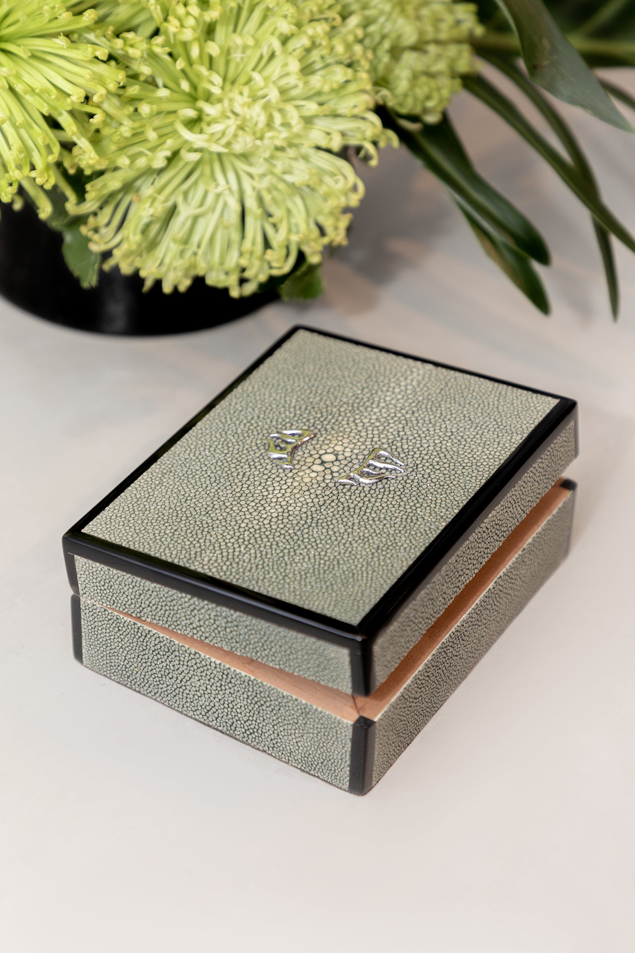 Galuchat Box with Silver decoration
